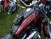 (S) SUZUKI INTRUDER VS 600 800 1400 LEATHER TANK Panel Pad Strap Chap Bib Bra